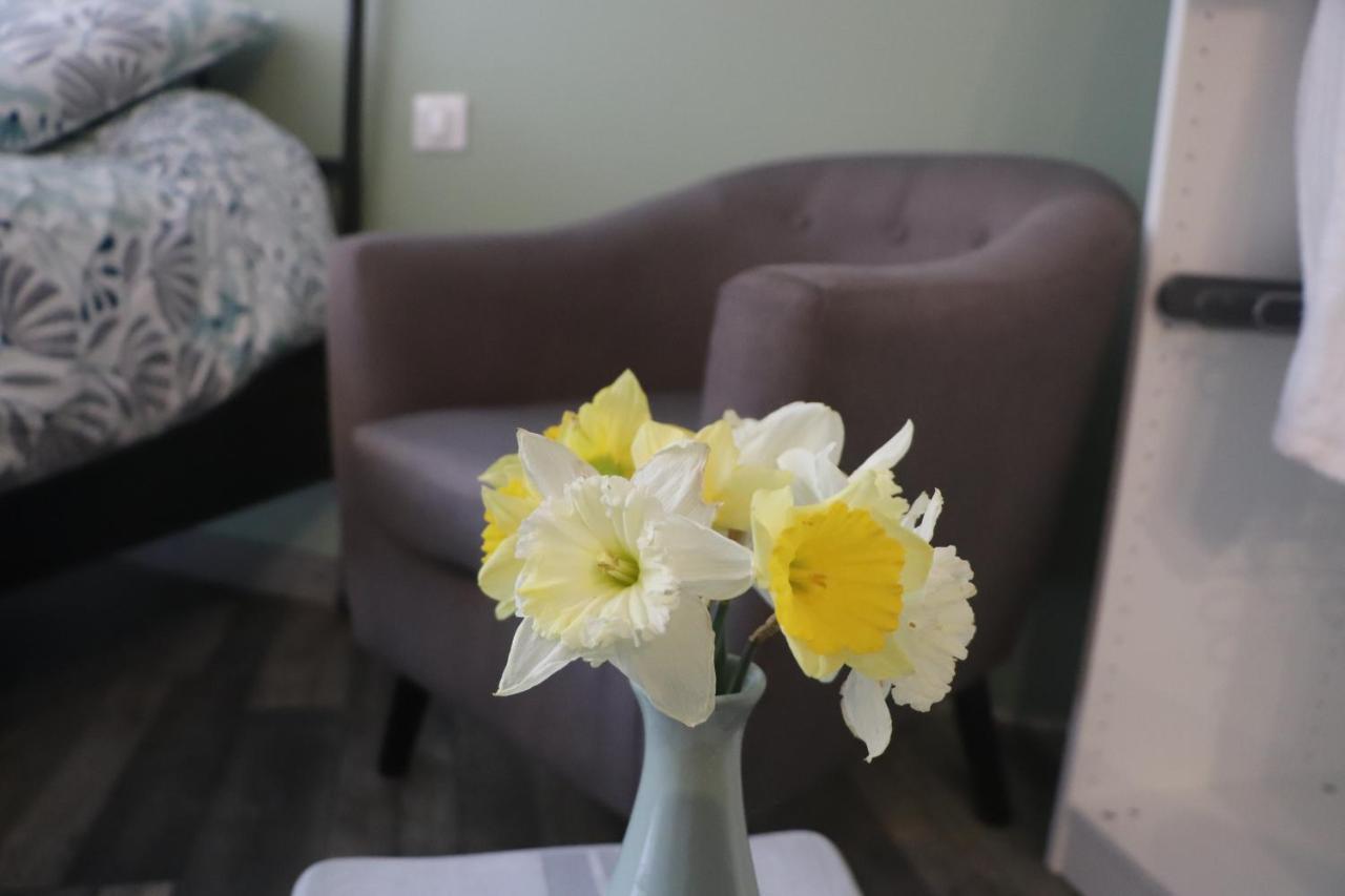 Suite Melody Double Balneo, Home-Cinema, Terrasse A Dieppe Buitenkant foto